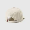 Pet beige